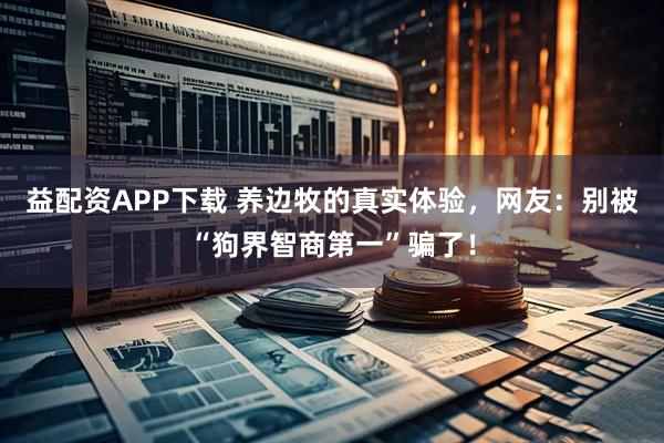 益配资APP下载 养边牧的真实体验，网友：别被“狗界智商第一”骗了！